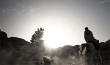 人事管理软件的免费ddos压力测试平台